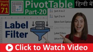 MS-EXCEL-71-Label Filter in Pivot Table - Filter data in a Pivot Table - Filter by Labels Text