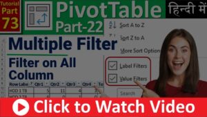 MS-EXCEL-73-Multiple Filter in Pivot Table - Multiple Columns Filter in Pivot Table - Hindi Tutorial