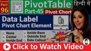 MS-EXCEL-96-Label in Pivot Chart - Label Option in Pivot Chart - Label Element - PivotChart Tutorial